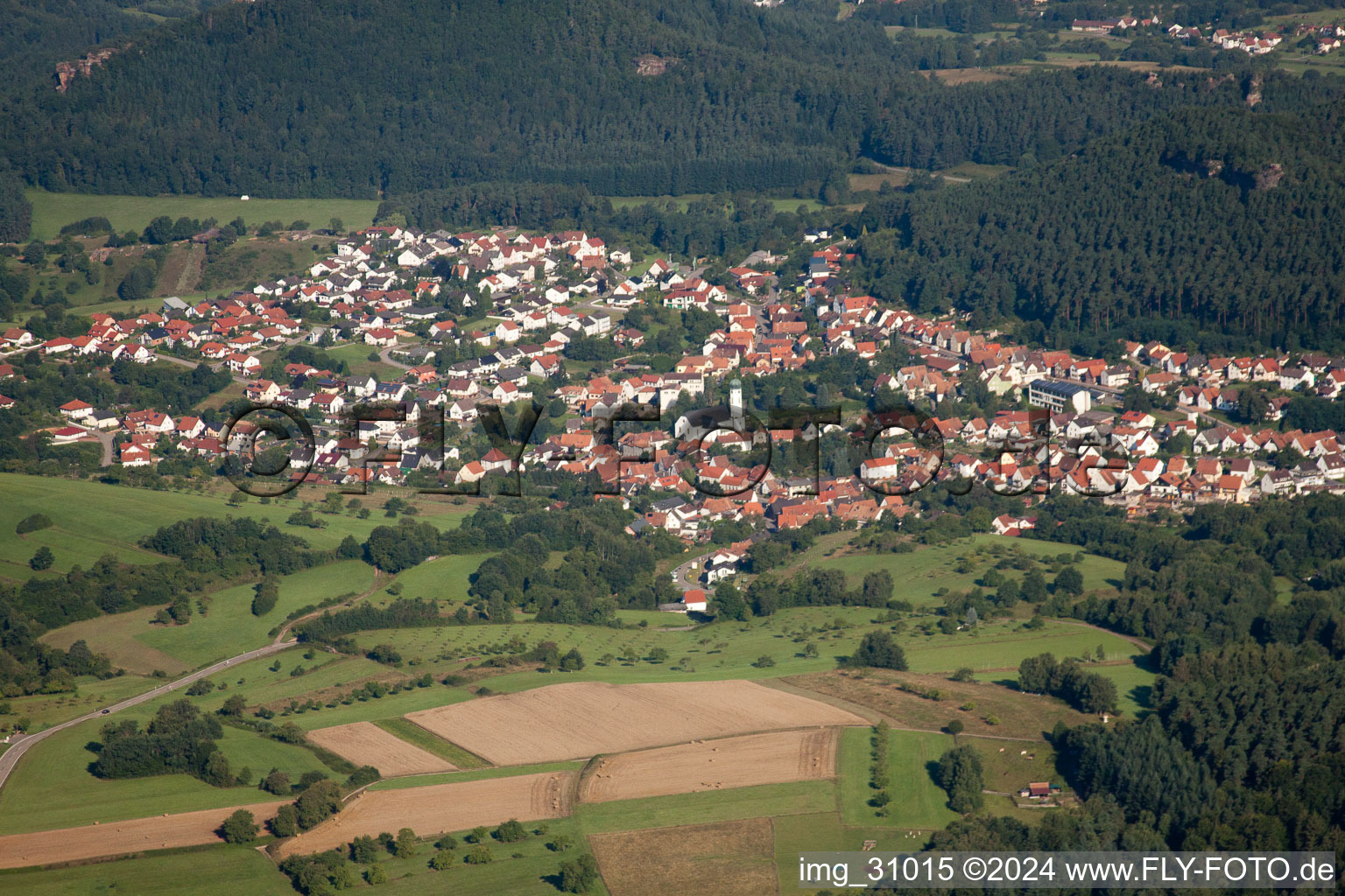 Vue aérienne de Busenberg dans le département Rhénanie-Palatinat, Allemagne