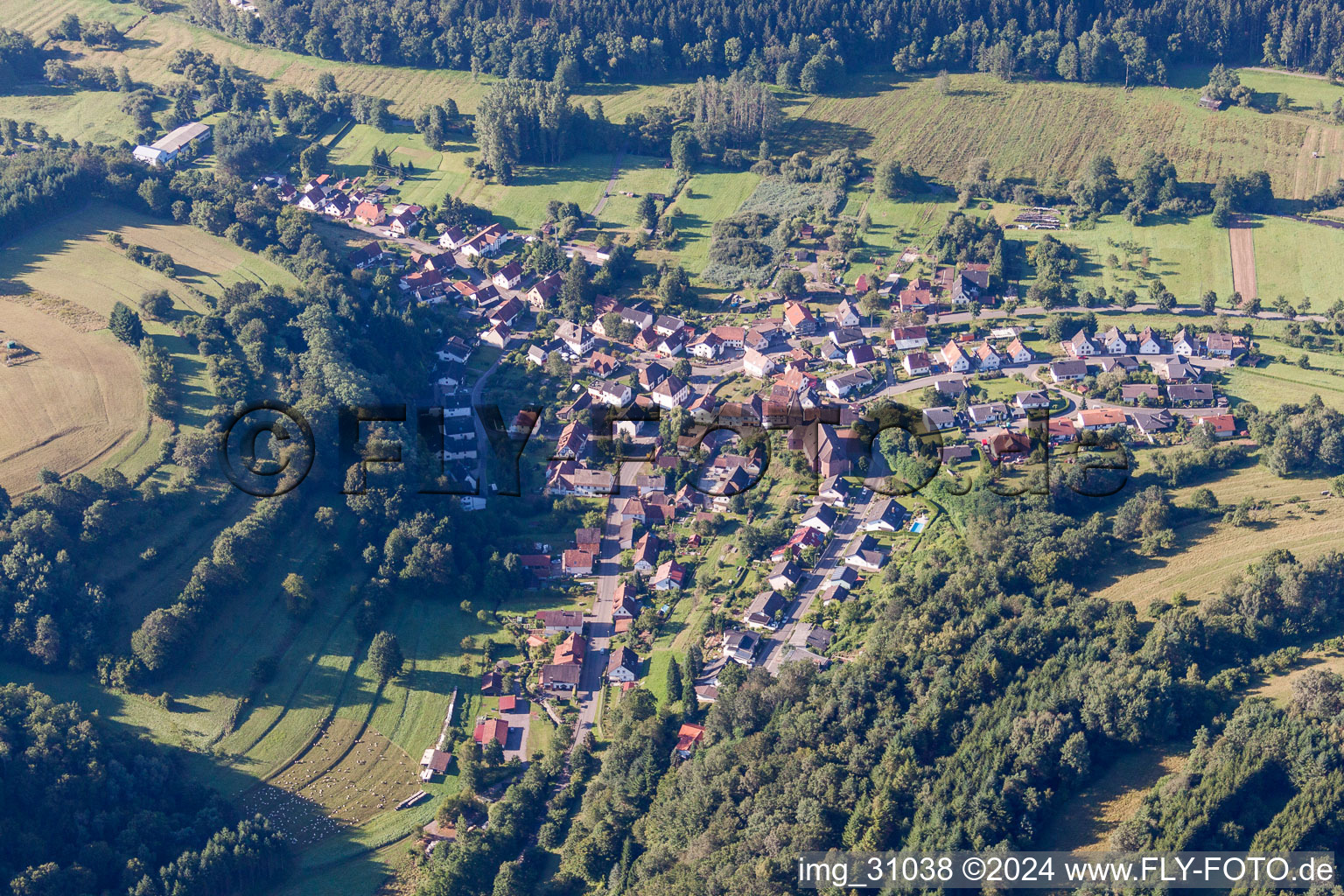 Vue aérienne de Champs agricoles et surfaces utilisables à Niederschlettenbach dans le département Rhénanie-Palatinat, Allemagne