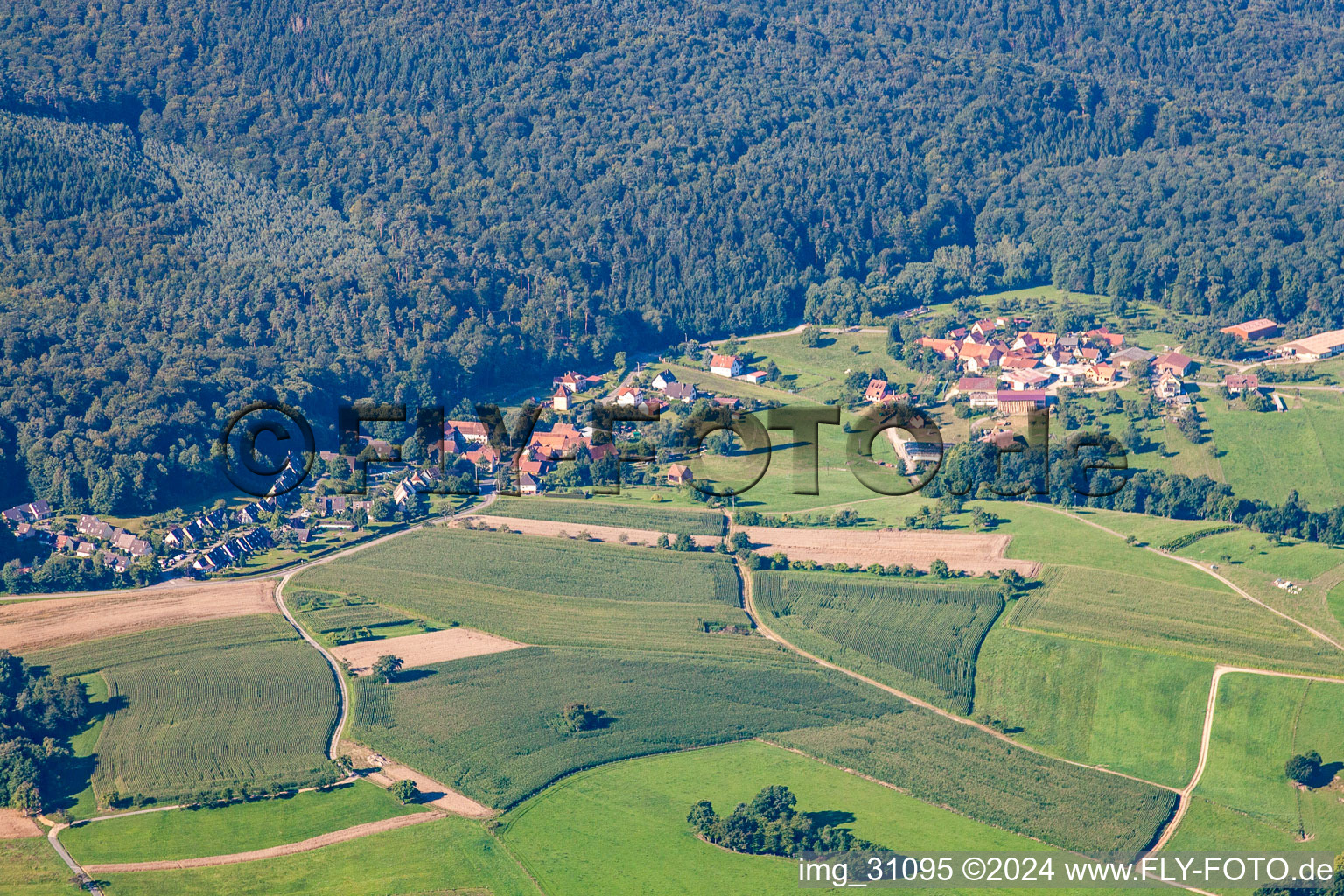 Photographie aérienne de Pfaffenbronn à Lembach dans le département Bas Rhin, France