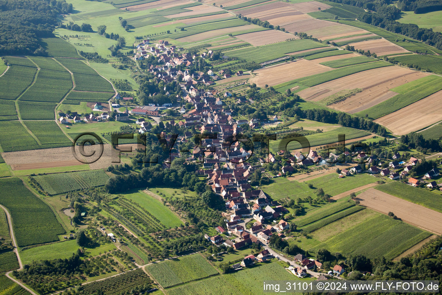 Photographie aérienne de Vue sur le village à Cleebourg dans le département Bas Rhin, France