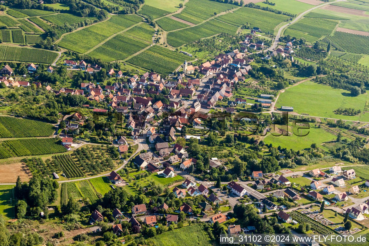 Vue oblique de Champs agricoles et surfaces utilisables à Rott dans le département Bas Rhin, France