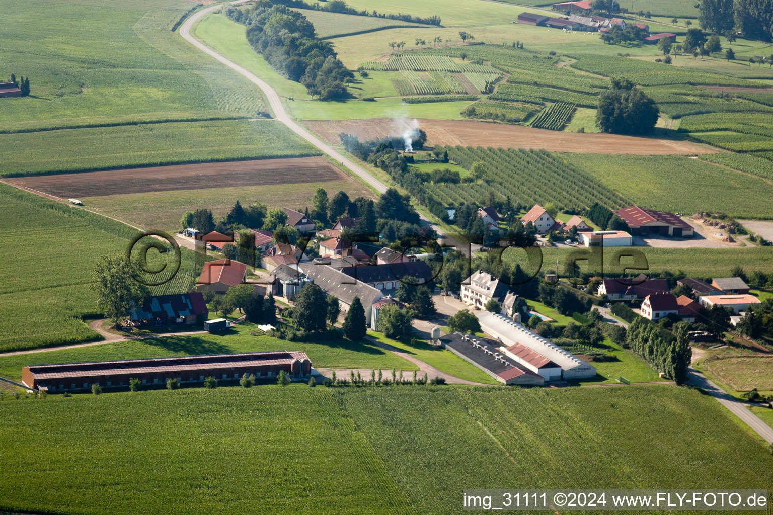 Steinseltz dans le département Bas Rhin, France vu d'un drone