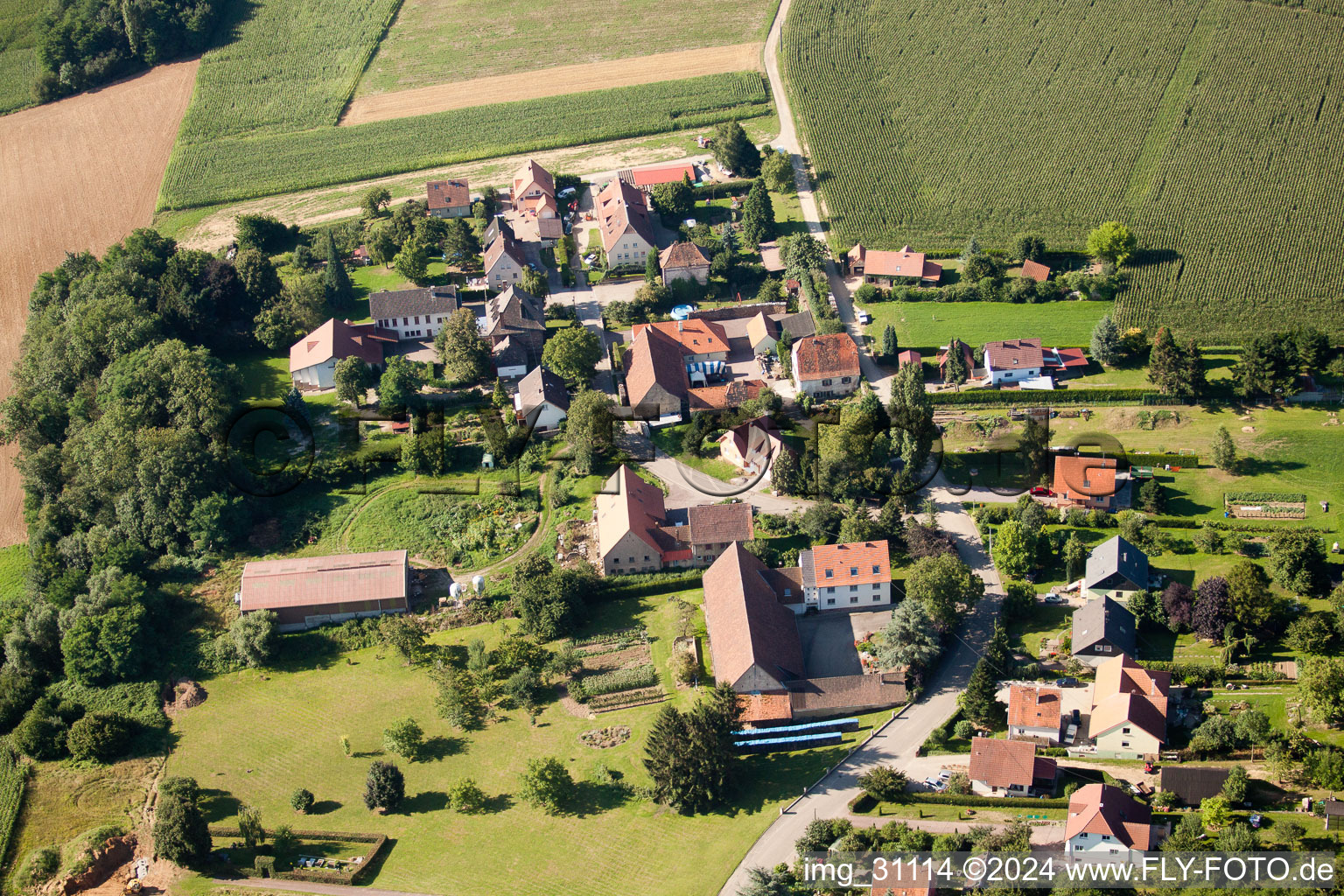 Vue aérienne de Geisberg à Wissembourg dans le département Bas Rhin, France