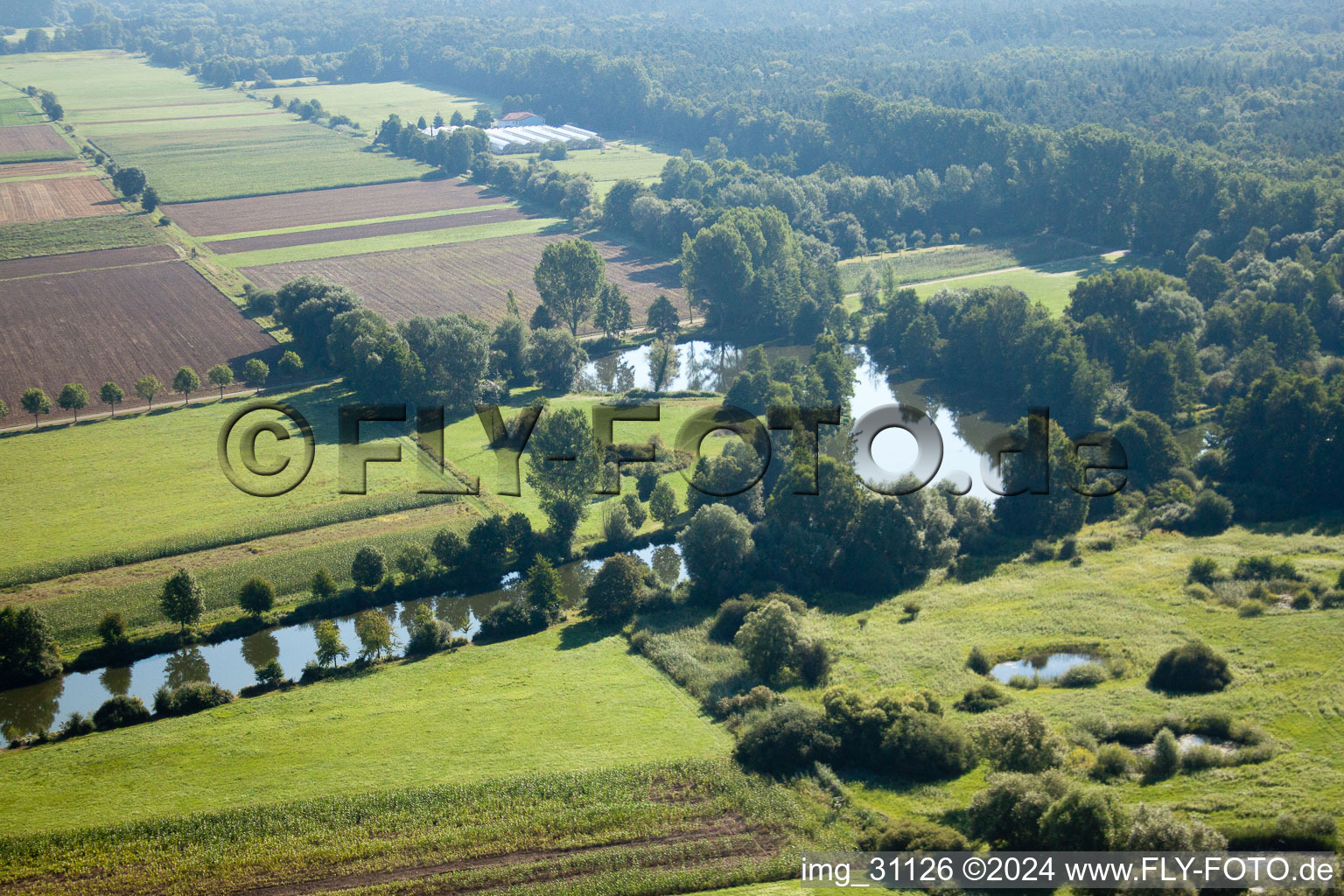 Vue d'oiseau de Steinfeld dans le département Rhénanie-Palatinat, Allemagne