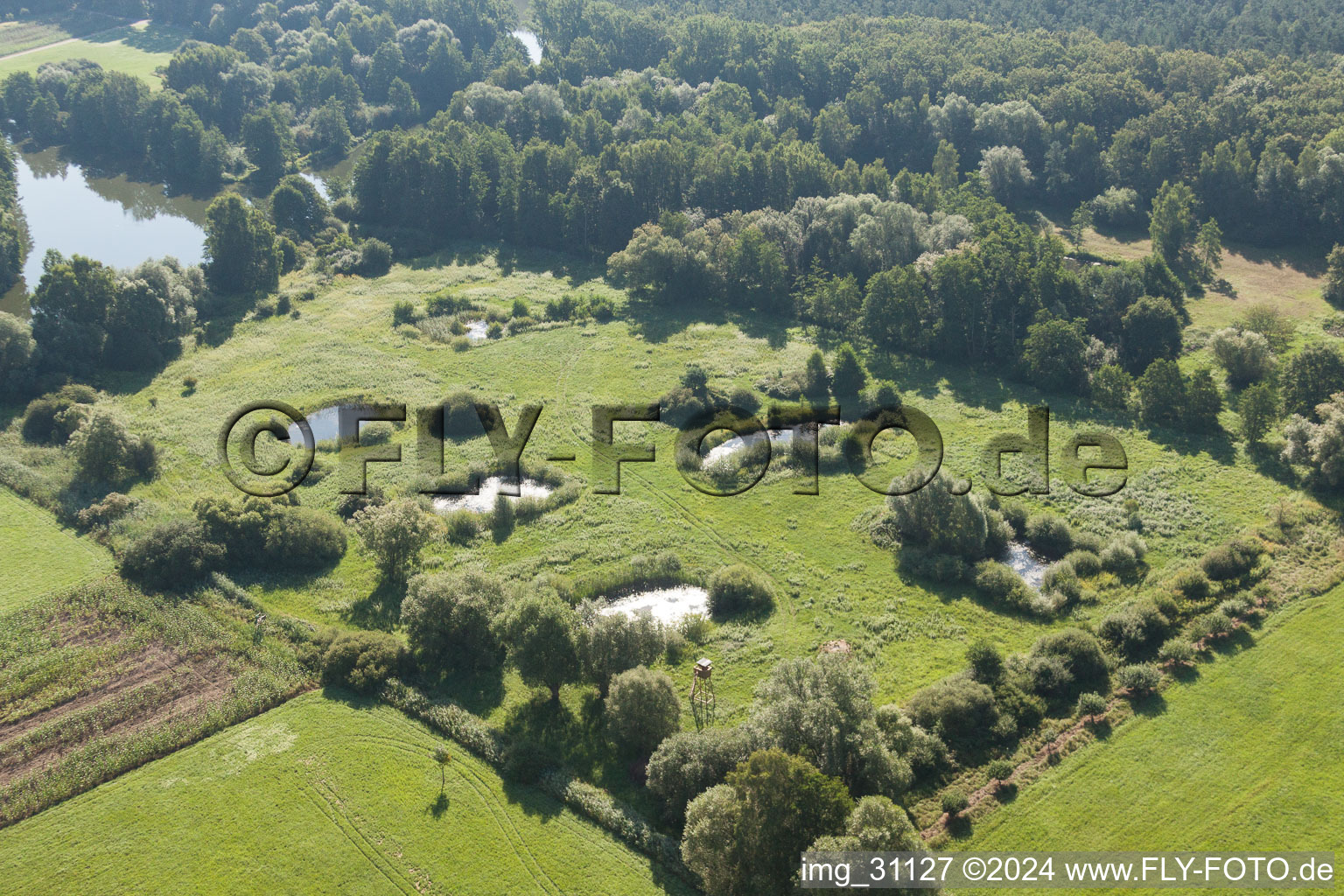 Vue aérienne de Biotope à Steinfeld dans le département Rhénanie-Palatinat, Allemagne