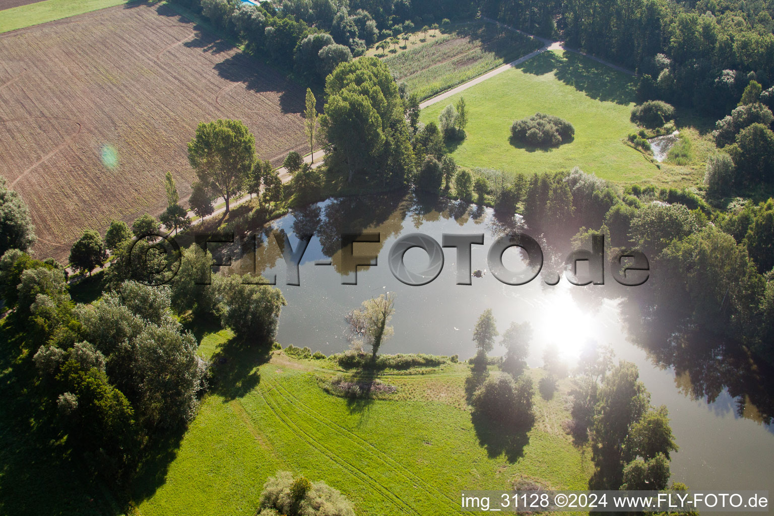 Steinfeld dans le département Rhénanie-Palatinat, Allemagne vue du ciel