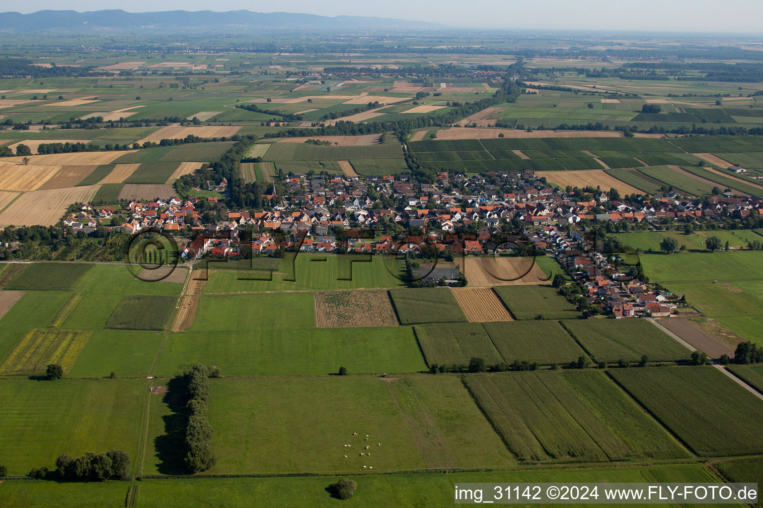 Vue aérienne de Freckenfeld dans le département Rhénanie-Palatinat, Allemagne