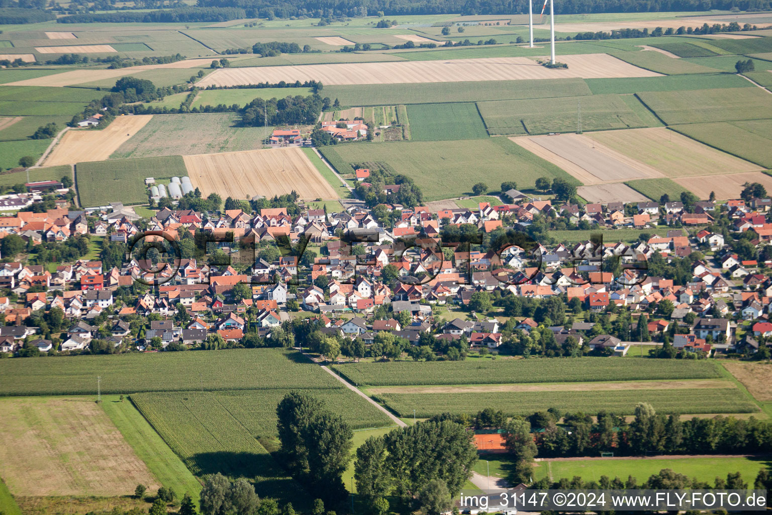 Vue aérienne de Du sud à Minfeld dans le département Rhénanie-Palatinat, Allemagne