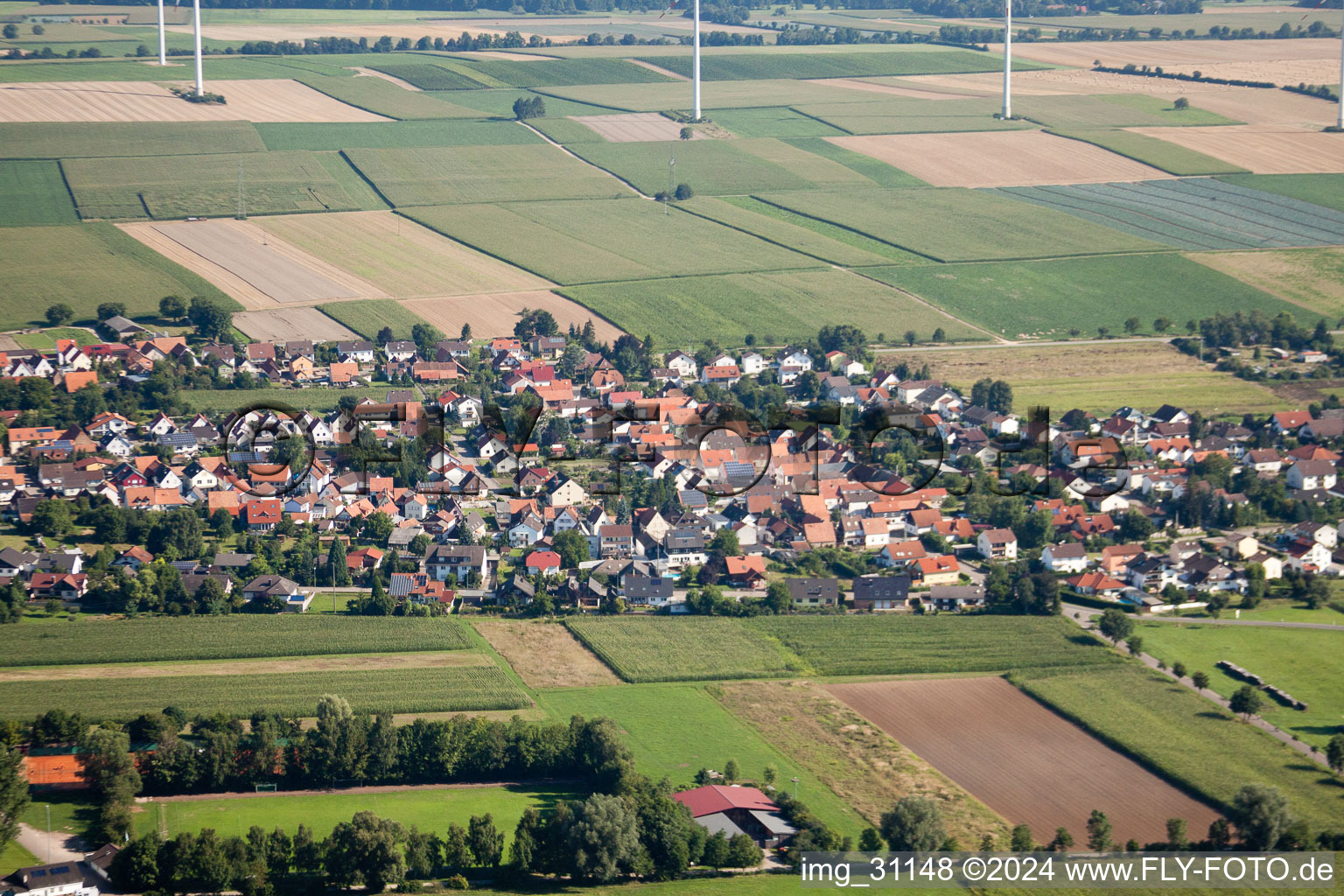 Photographie aérienne de Du sud à Minfeld dans le département Rhénanie-Palatinat, Allemagne