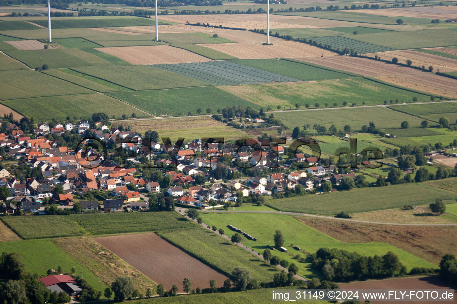 Vue oblique de Du sud à Minfeld dans le département Rhénanie-Palatinat, Allemagne