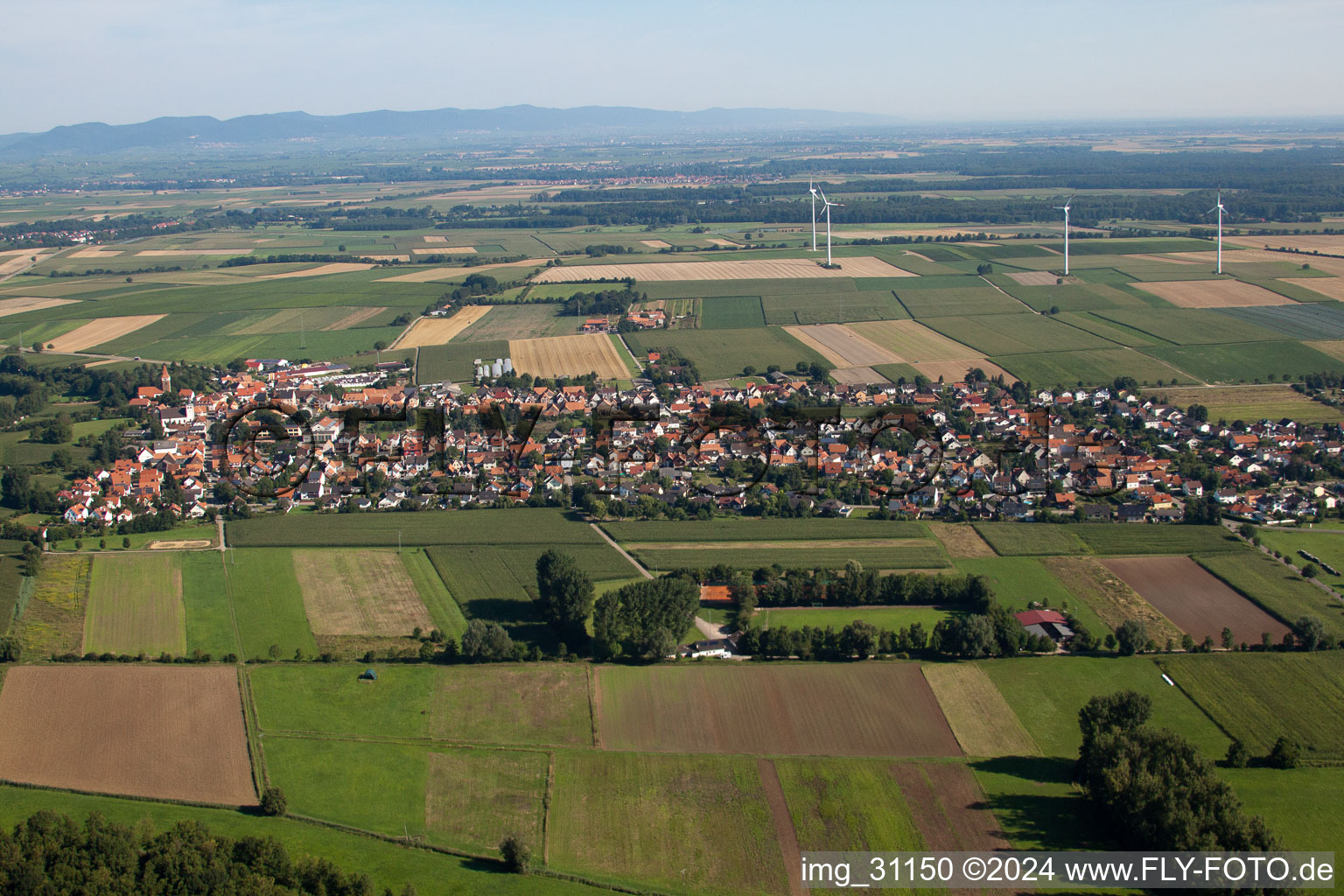 Du sud à Minfeld dans le département Rhénanie-Palatinat, Allemagne d'en haut