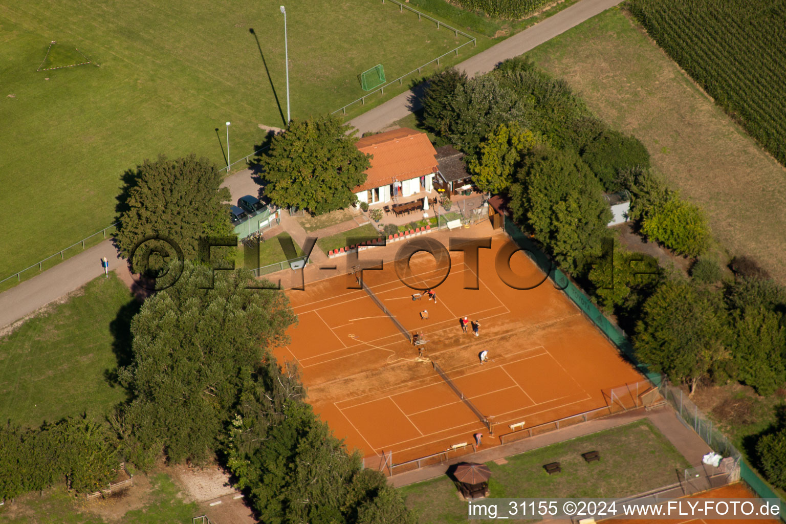 Vue oblique de Terrains de sport à Minfeld dans le département Rhénanie-Palatinat, Allemagne