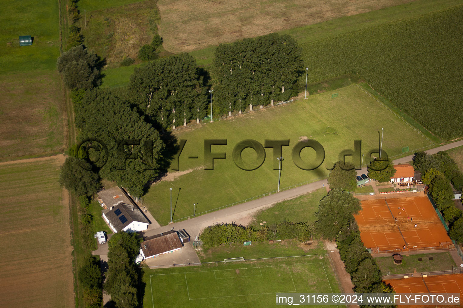 Terrains de sport à Minfeld dans le département Rhénanie-Palatinat, Allemagne d'en haut