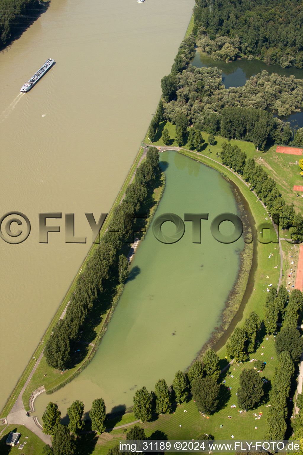 Vue aérienne de Piscine du Rhin à le quartier Daxlanden in Karlsruhe dans le département Bade-Wurtemberg, Allemagne