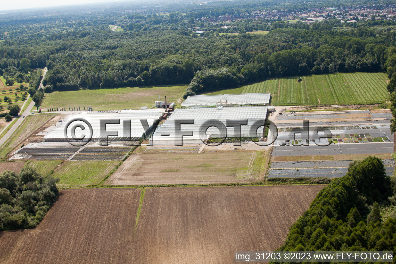 Vue aérienne de Horticulture Reiss à Malsch dans le département Bade-Wurtemberg, Allemagne