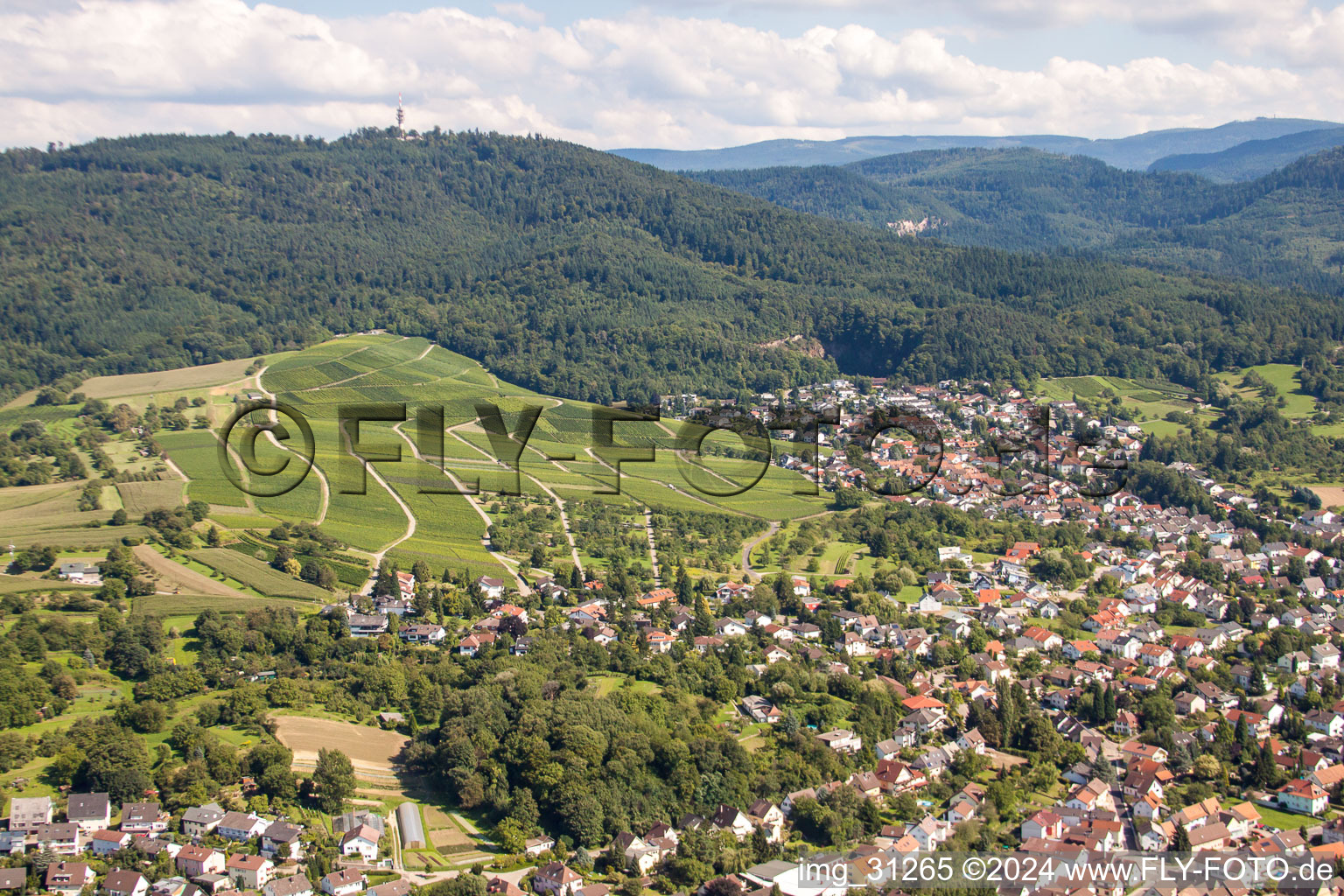 Vue aérienne de Vörmberg à Sinzheim dans le département Bade-Wurtemberg, Allemagne