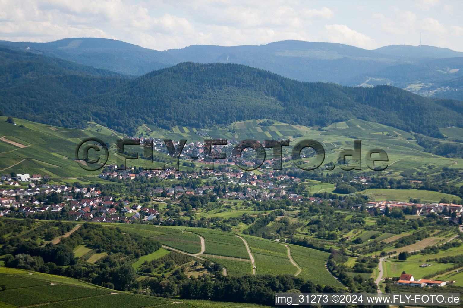 Vue aérienne de Varnhalt, Neuweier à le quartier Steinbach in Baden-Baden dans le département Bade-Wurtemberg, Allemagne