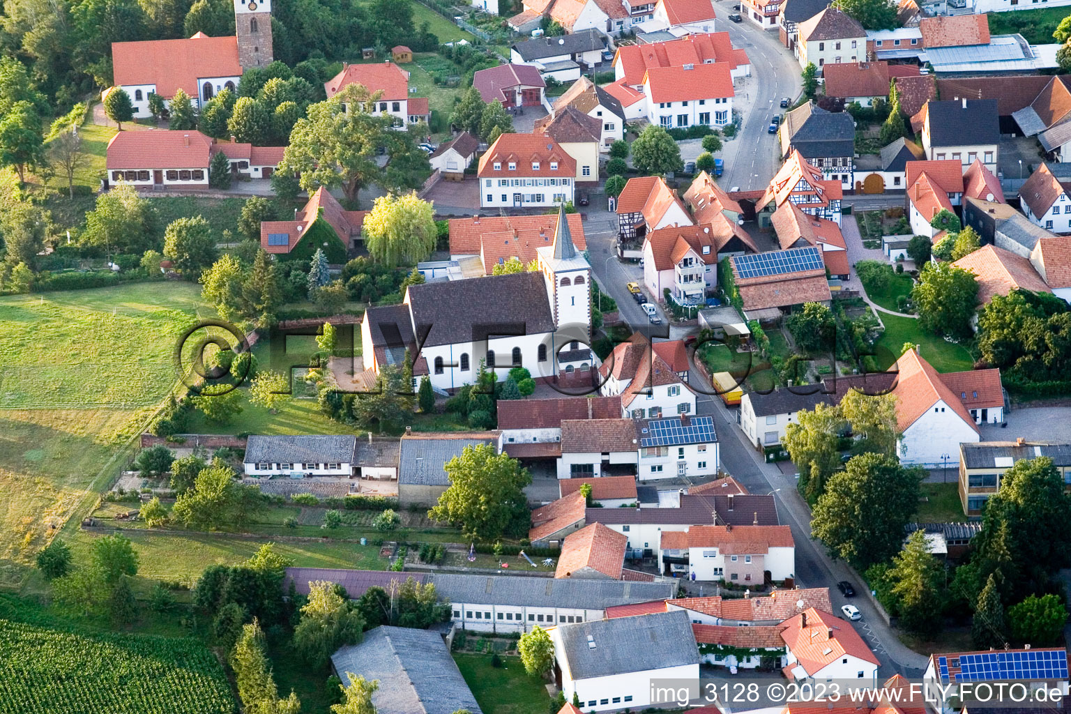 Vue aérienne de Herrengasse à Minfeld dans le département Rhénanie-Palatinat, Allemagne