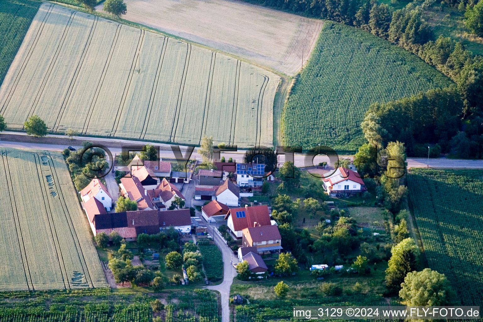 Vue aérienne de Welschhof à Minfeld dans le département Rhénanie-Palatinat, Allemagne