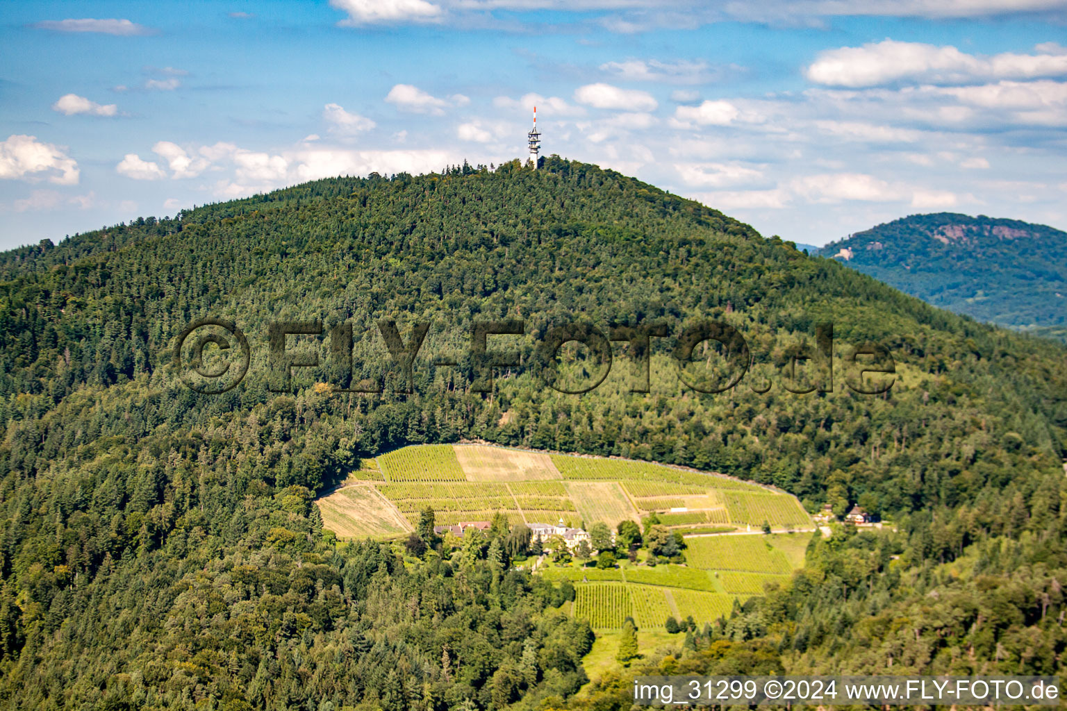 Vue aérienne de Propriété du monastère à Sinzheim dans le département Bade-Wurtemberg, Allemagne