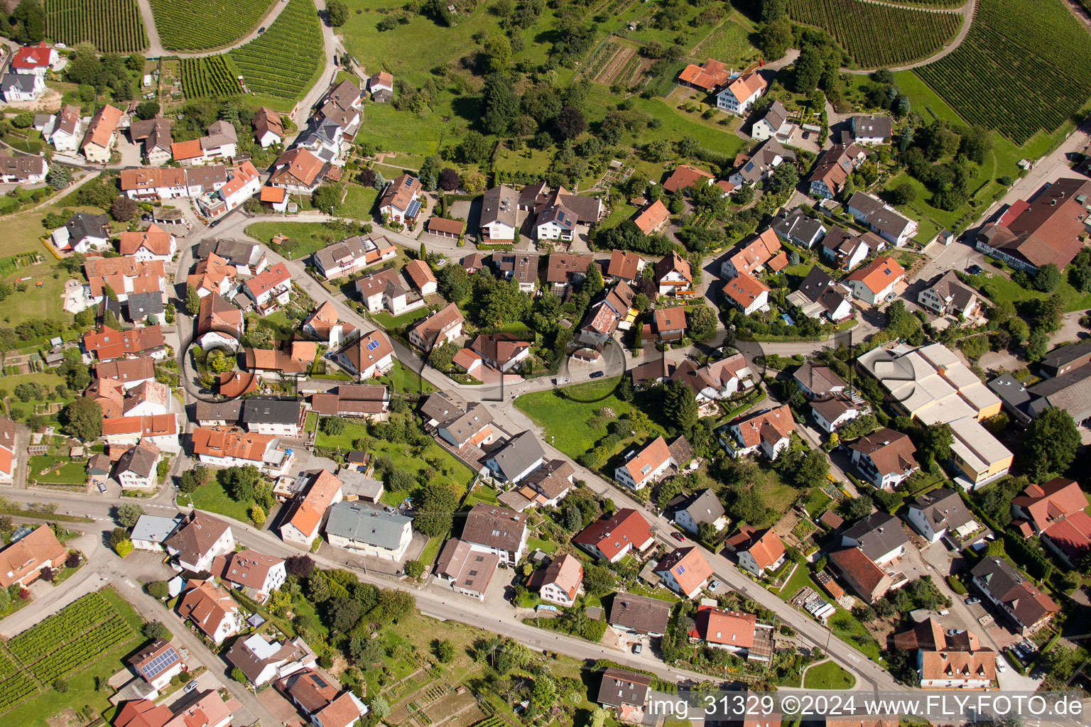 Vue aérienne de Caisses à vin à le quartier Gallenbach in Baden-Baden dans le département Bade-Wurtemberg, Allemagne