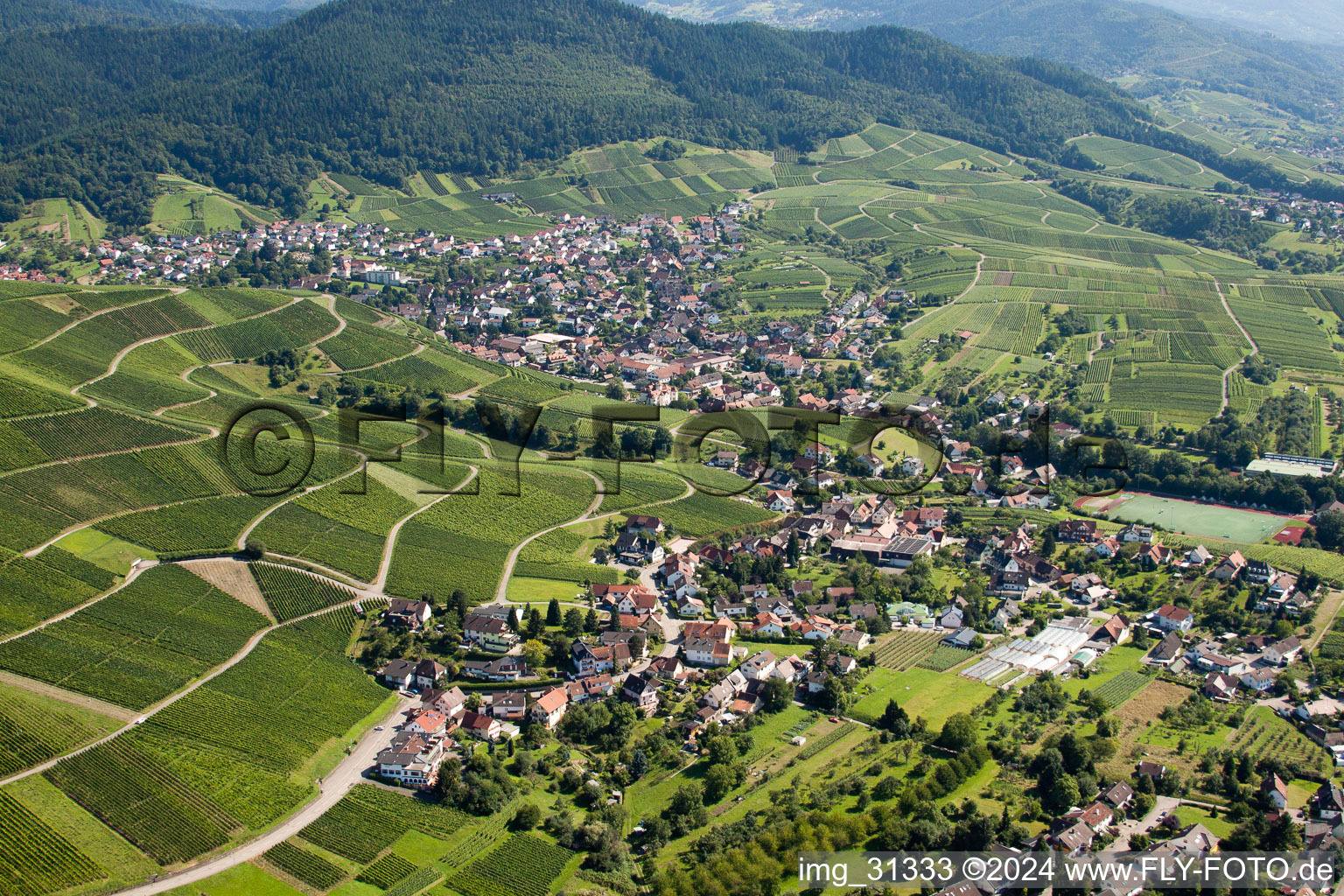 Quartier Neuweier in Baden-Baden dans le département Bade-Wurtemberg, Allemagne hors des airs