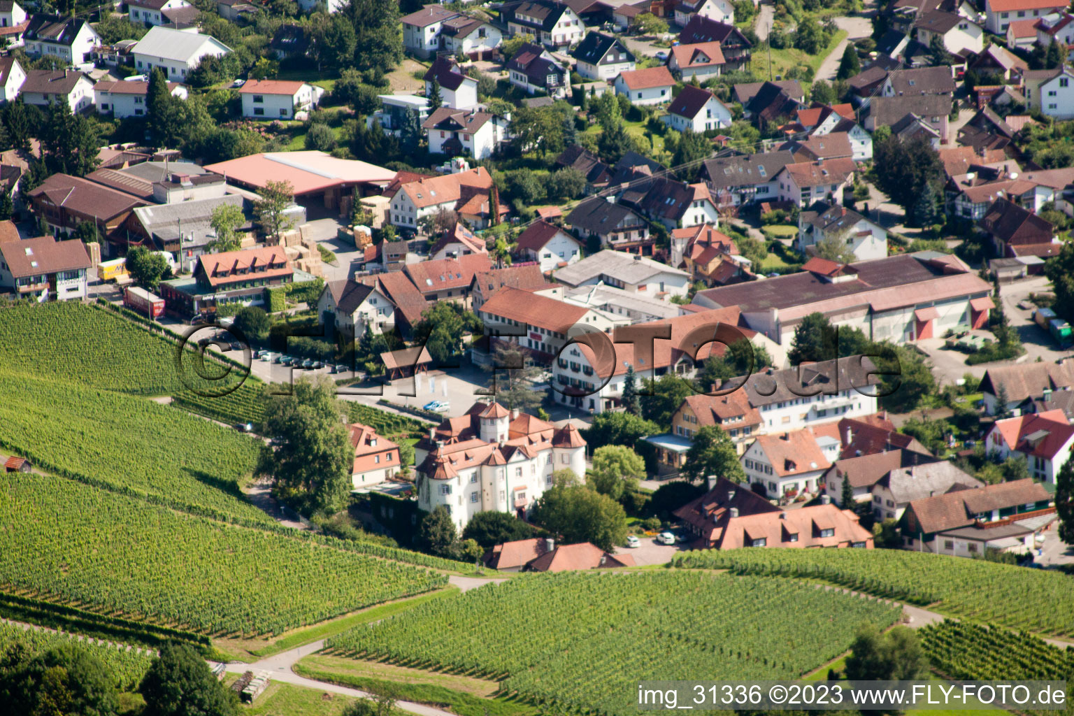 Vue aérienne de Château de Neuweir à le quartier Neuweier in Baden-Baden dans le département Bade-Wurtemberg, Allemagne