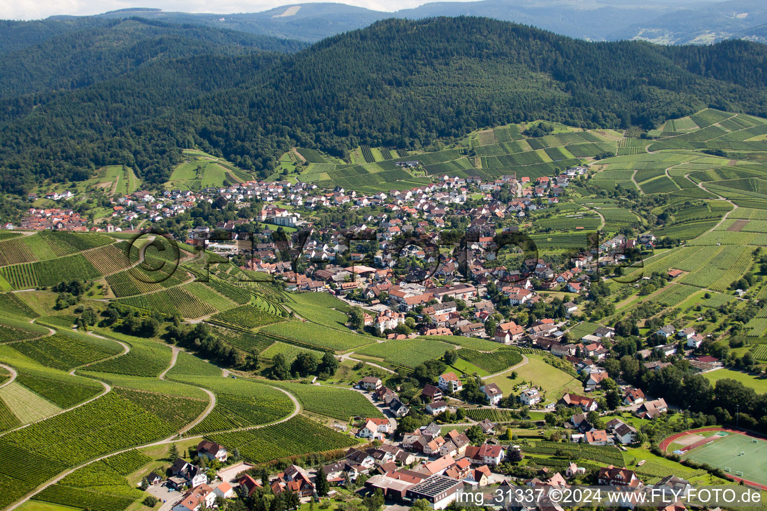 Quartier Neuweier in Baden-Baden dans le département Bade-Wurtemberg, Allemagne vue d'en haut