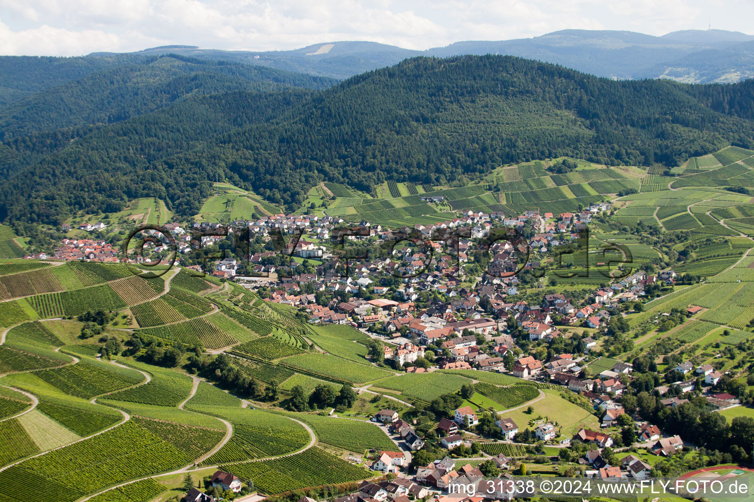 Quartier Neuweier in Baden-Baden dans le département Bade-Wurtemberg, Allemagne depuis l'avion