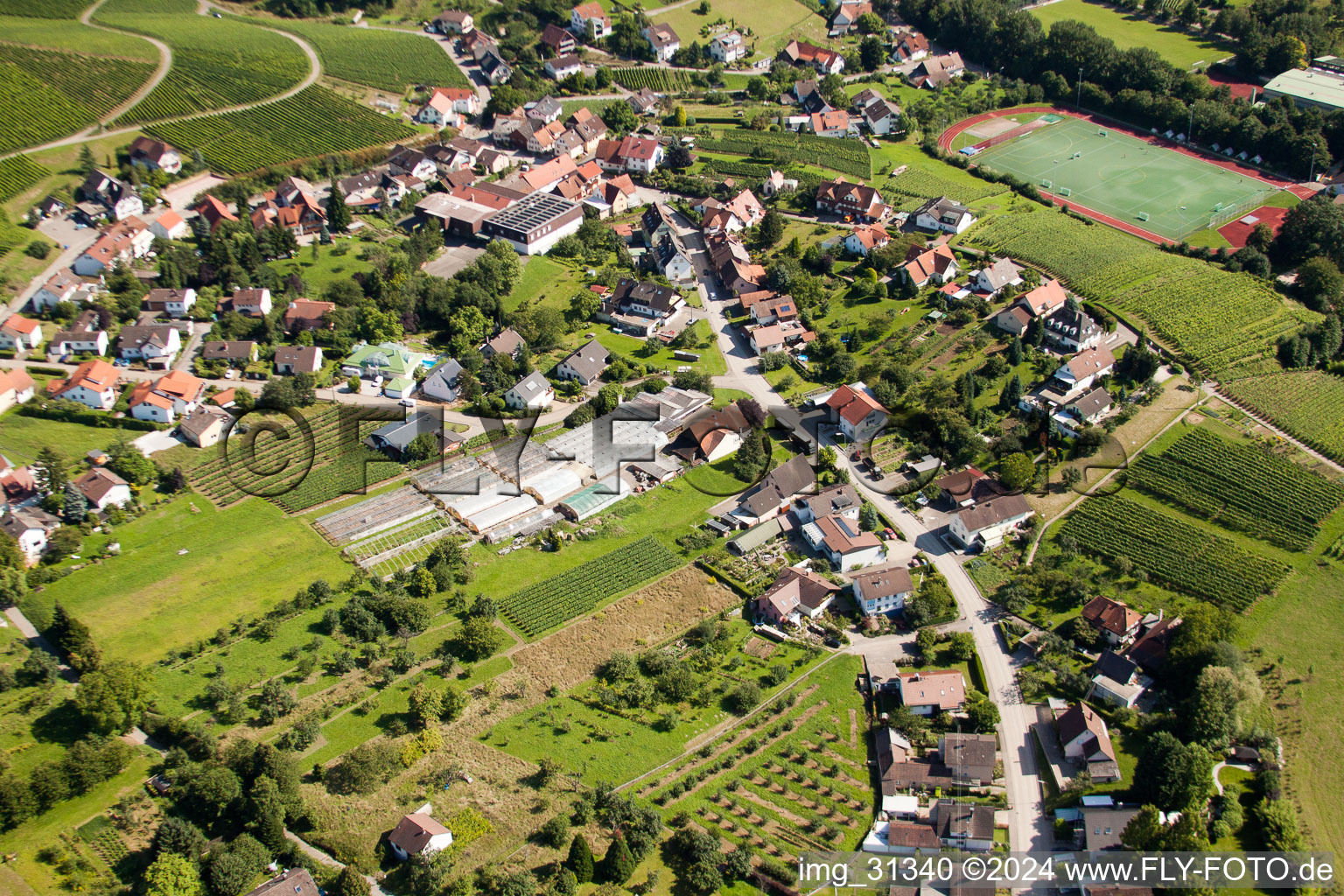 Quartier Steinbach in Baden-Baden dans le département Bade-Wurtemberg, Allemagne vue d'en haut