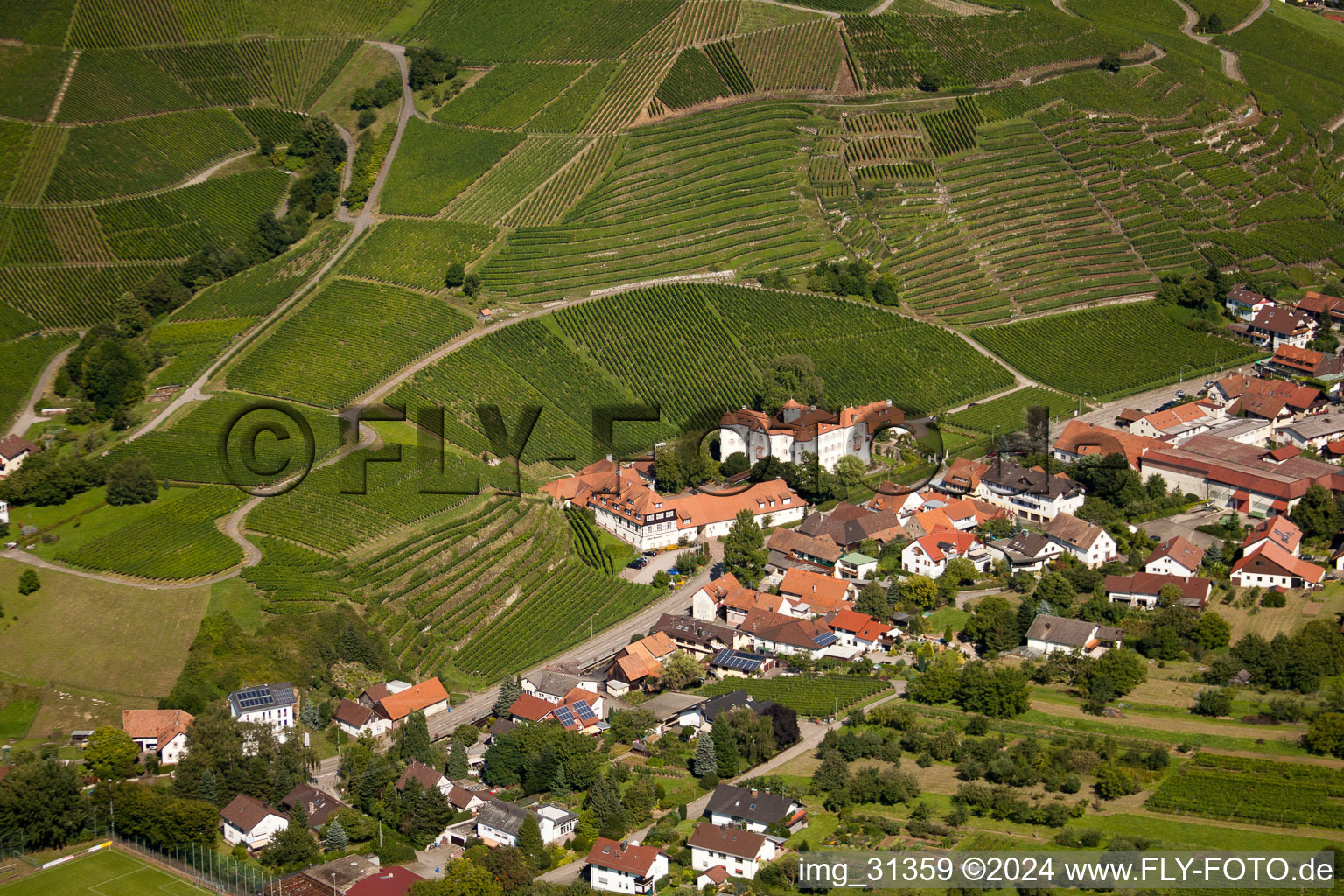 Vue aérienne de Château de Neuweir à le quartier Neuweier in Baden-Baden dans le département Bade-Wurtemberg, Allemagne