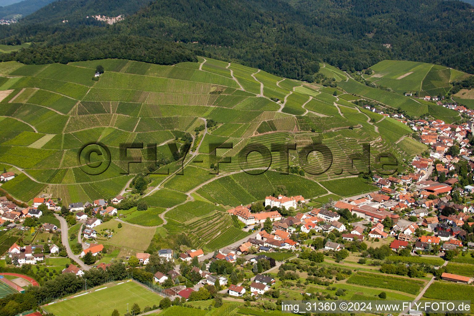 Vue aérienne de Rebberg à le quartier Neuweier in Baden-Baden dans le département Bade-Wurtemberg, Allemagne