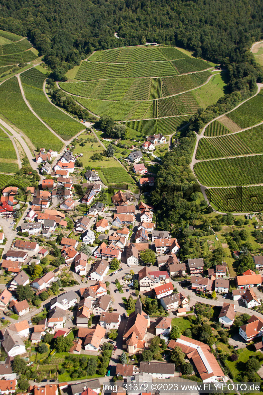 Vue aérienne de Vignobles et espaces forestiers à le quartier Eisental in Bühl dans le département Bade-Wurtemberg, Allemagne
