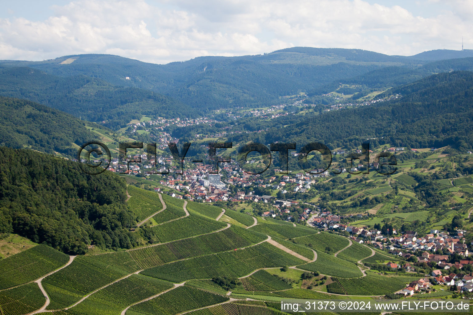 Vue aérienne de Du nord-ouest à le quartier Untertal in Bühlertal dans le département Bade-Wurtemberg, Allemagne