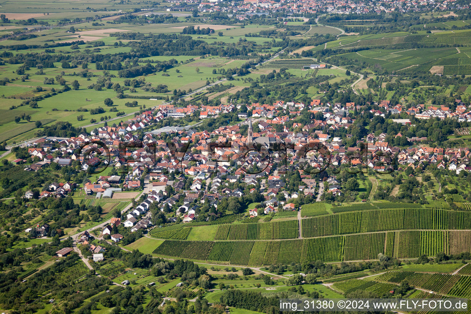 Vue aérienne de Du sud à le quartier Steinbach in Baden-Baden dans le département Bade-Wurtemberg, Allemagne