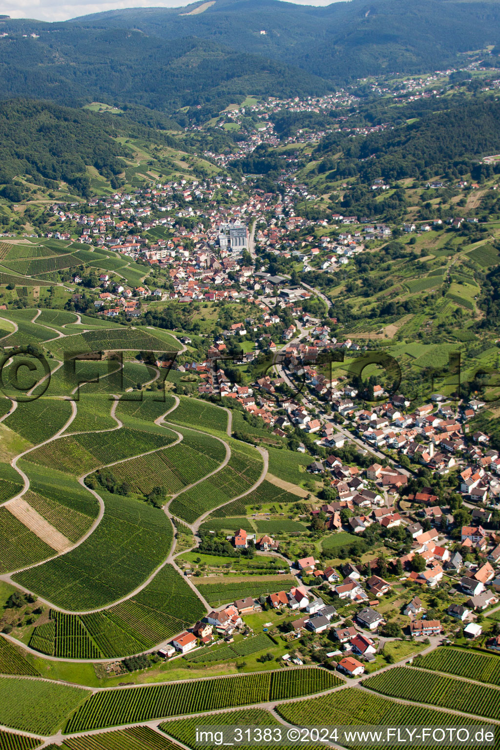 Vue aérienne de Panorama de la région et des environs à le quartier Untertal in Bühlertal dans le département Bade-Wurtemberg, Allemagne