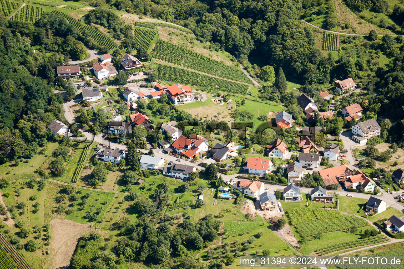 Vue aérienne de Sur le chemin du vin à le quartier Altschweier in Bühl dans le département Bade-Wurtemberg, Allemagne