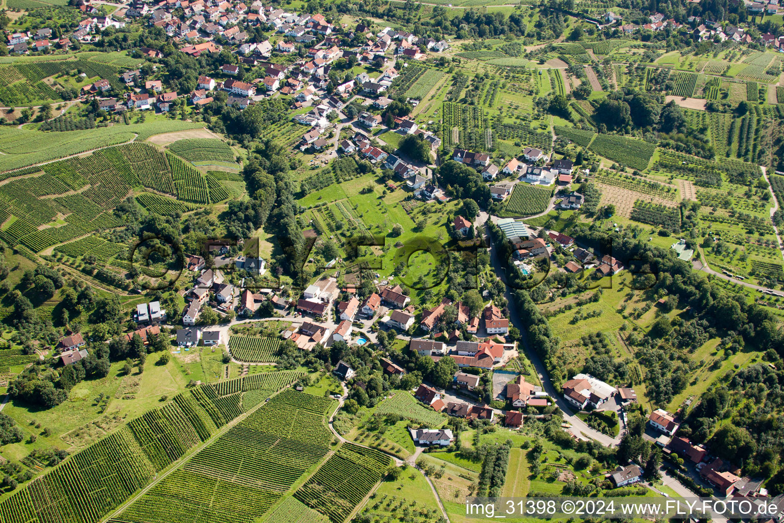 Vue aérienne de Vue des rues et des maisons des quartiers résidentiels à le quartier Riegel in Bühl dans le département Bade-Wurtemberg, Allemagne