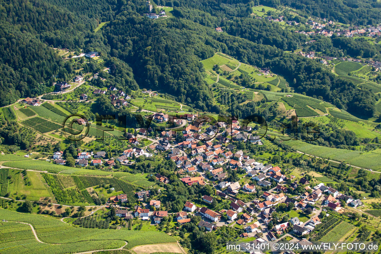 Vue aérienne de Quartier Riegel in Bühl dans le département Bade-Wurtemberg, Allemagne