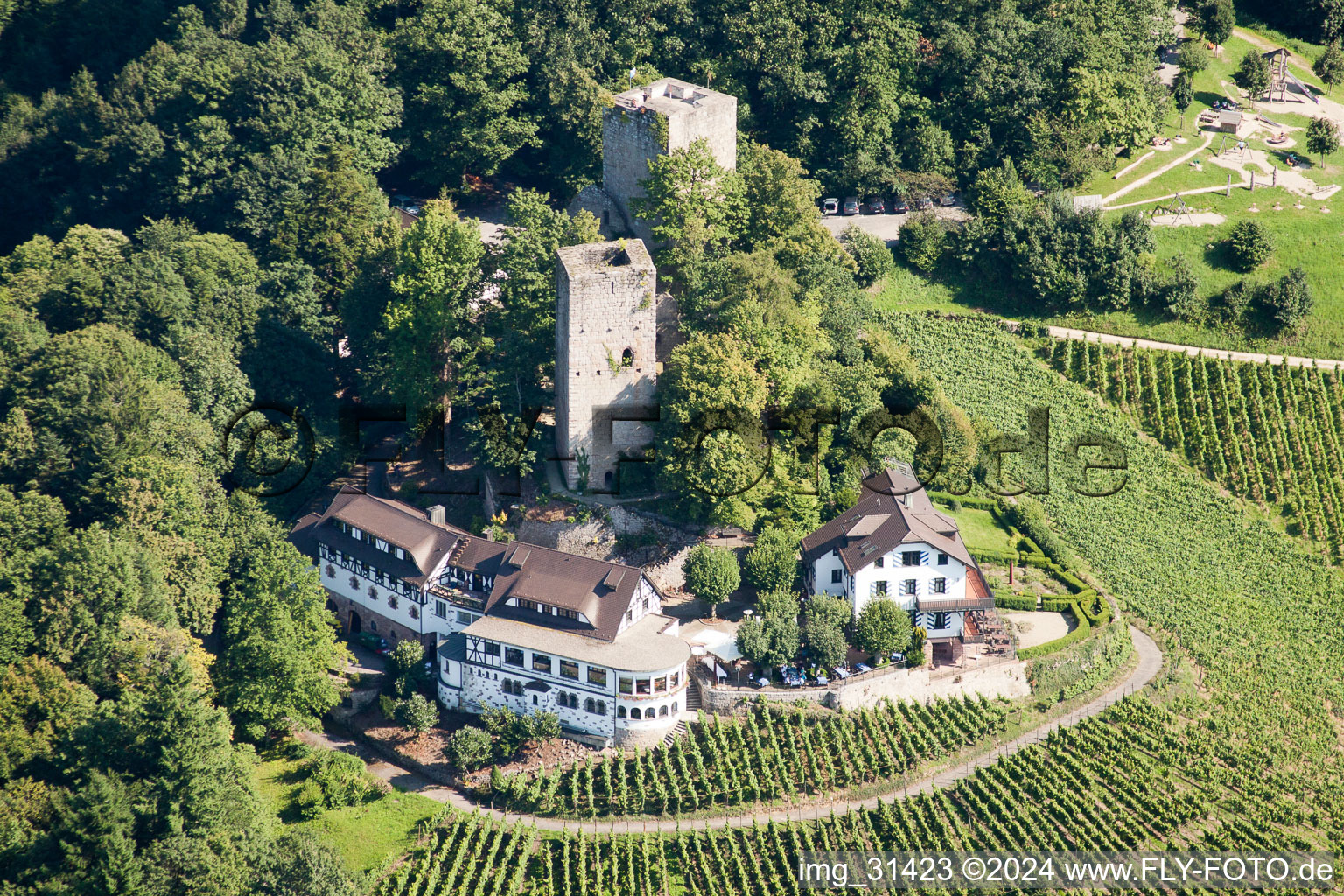 Vue aérienne de Ruines et vestiges des murs de l'ancien complexe du château et forteresse Alt-Windeck à Bühl dans le département Bade-Wurtemberg, Allemagne