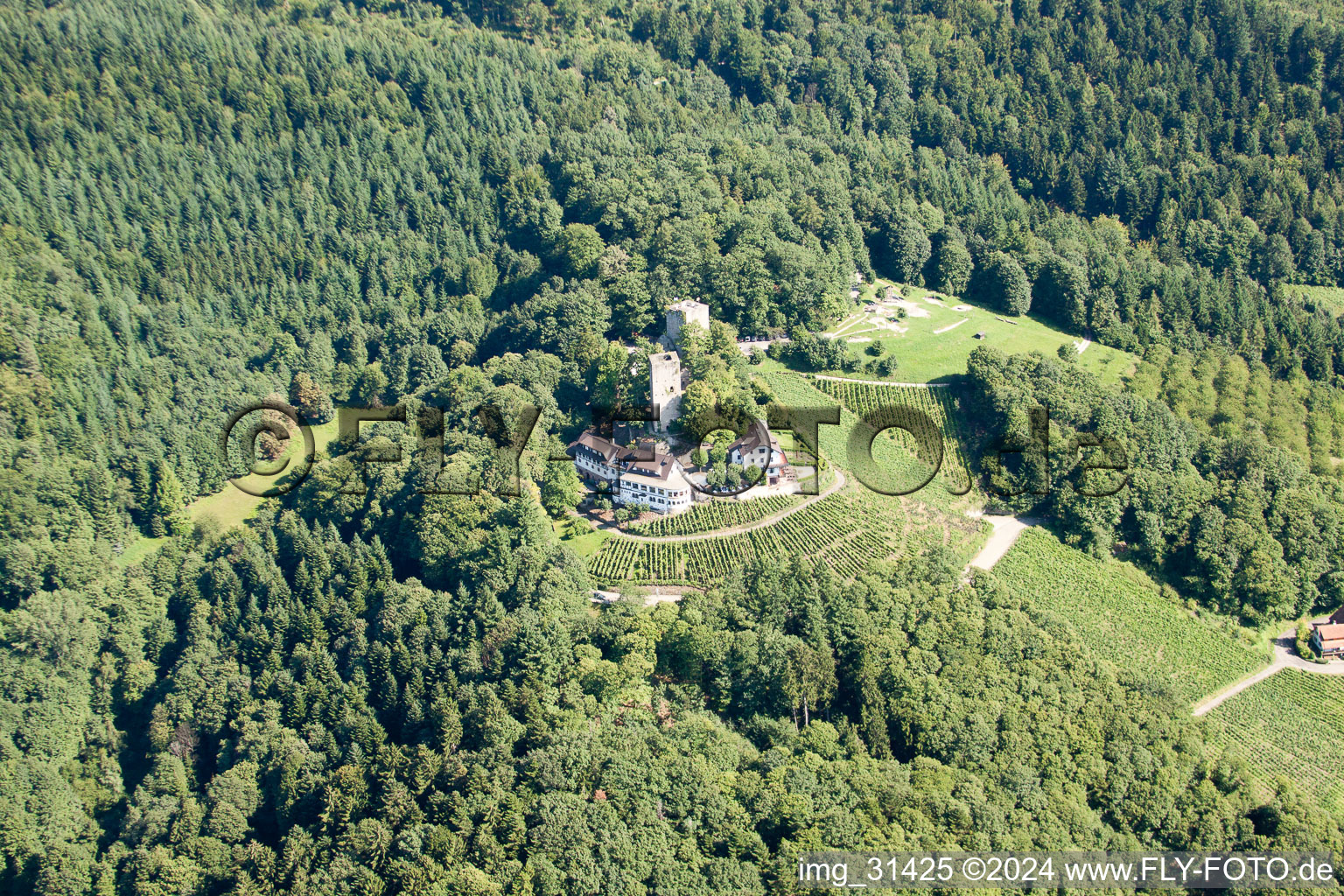 Vue aérienne de Château de Windeck à le quartier Riegel in Bühl dans le département Bade-Wurtemberg, Allemagne