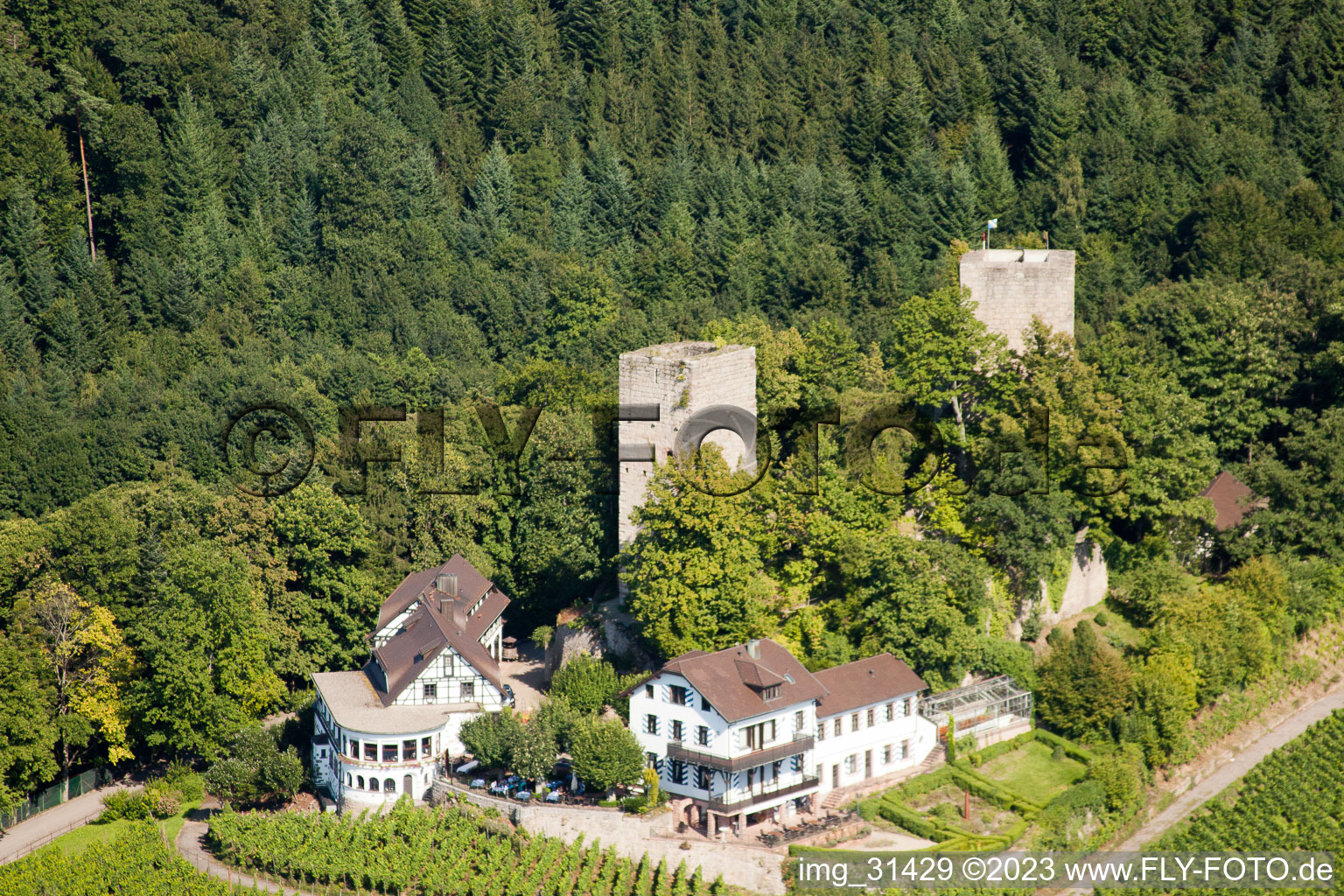 Vue aérienne de Château de Windeck à le quartier Riegel in Bühl dans le département Bade-Wurtemberg, Allemagne