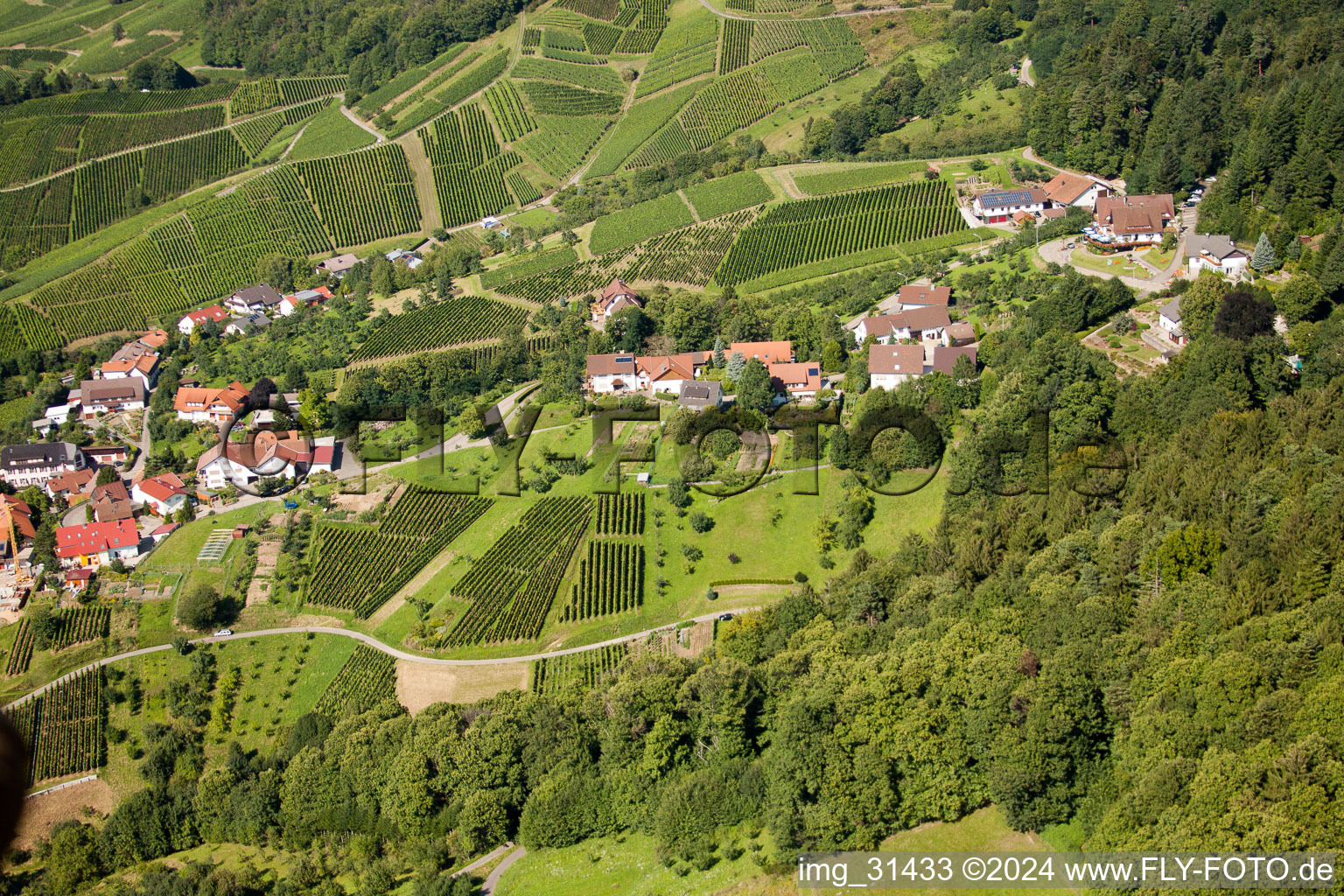 Vue aérienne de Chemin Bergfrieden à le quartier Riegel in Bühl dans le département Bade-Wurtemberg, Allemagne