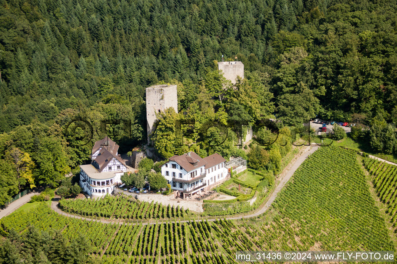 Photographie aérienne de Château de Windeck à le quartier Riegel in Bühl dans le département Bade-Wurtemberg, Allemagne