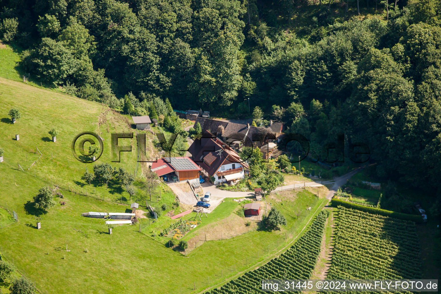 Kappelwindeck à le quartier Riegel in Bühl dans le département Bade-Wurtemberg, Allemagne d'en haut