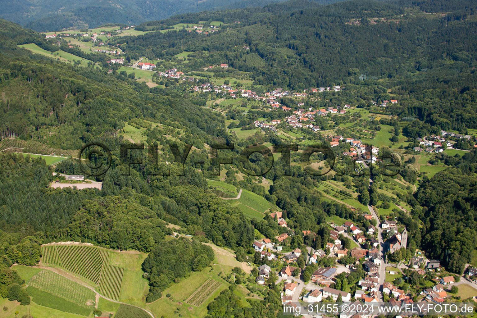 Vue aérienne de Buhl-Neusatzeck à Neusatzeck dans le département Bade-Wurtemberg, Allemagne