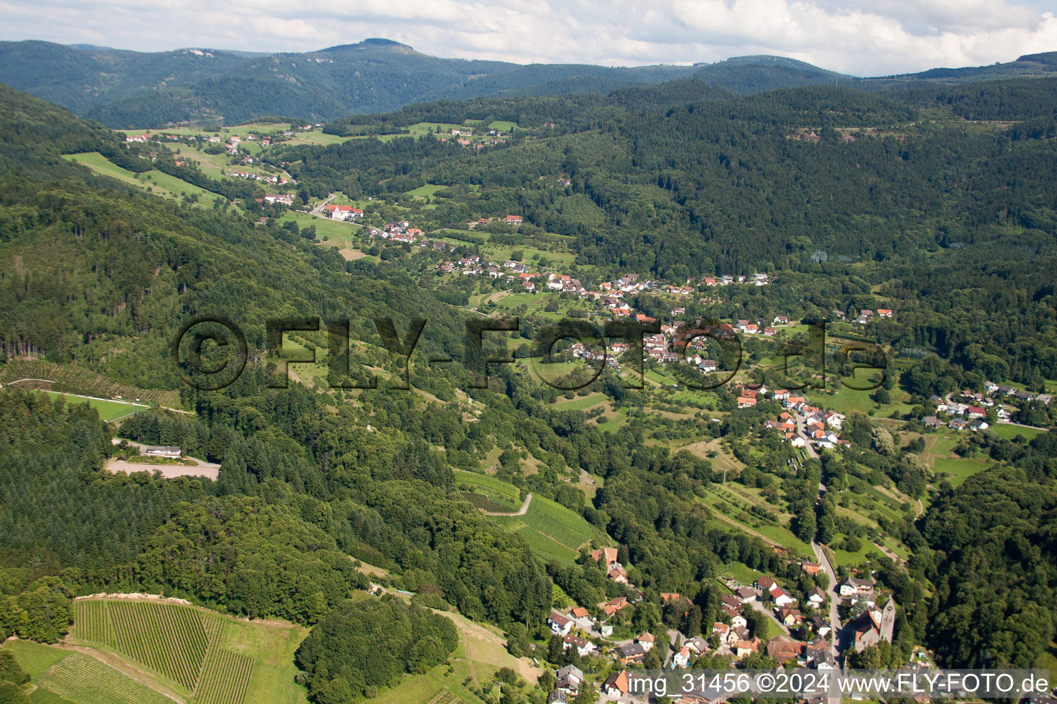 Vue aérienne de Buhl-Neusatzeck à Neusatzeck dans le département Bade-Wurtemberg, Allemagne