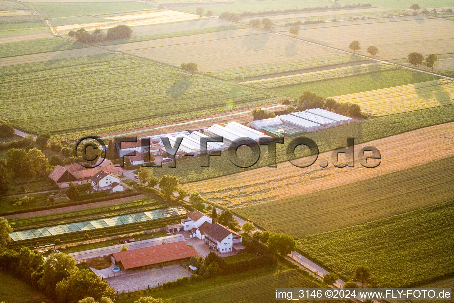 Vue aérienne de Weilerhof à le quartier Schaidt in Wörth am Rhein dans le département Rhénanie-Palatinat, Allemagne