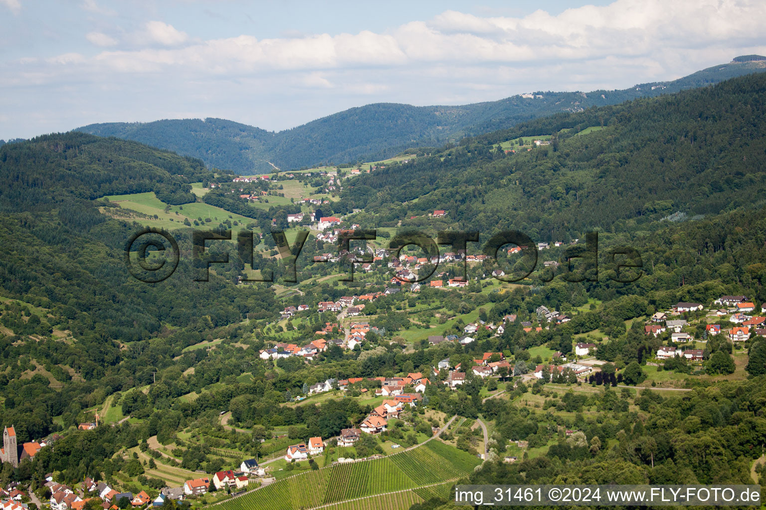 Photographie aérienne de Buhl-Neusatzeck à Neusatzeck dans le département Bade-Wurtemberg, Allemagne