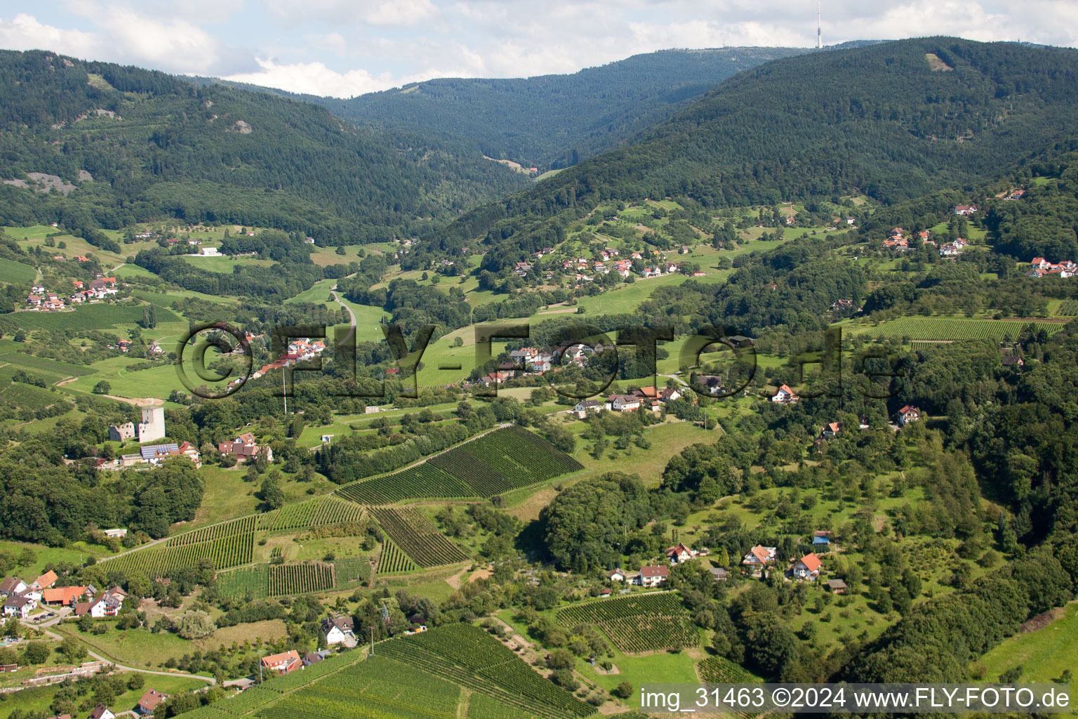 Vue aérienne de Quartier Matzenhöfe in Lauf dans le département Bade-Wurtemberg, Allemagne